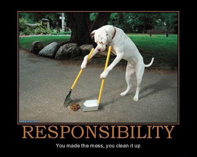 Responsibility