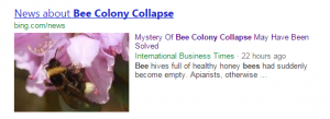 Bee Colony Collapse