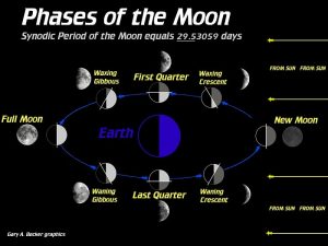 lunar-phases