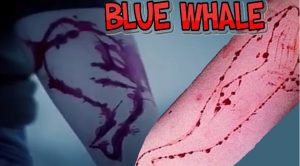 blue whale challenge