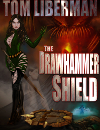 Drawhammer Shield Cover Small