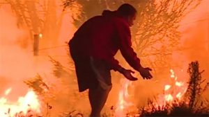 man-saves-wild-rabbit-from-fire