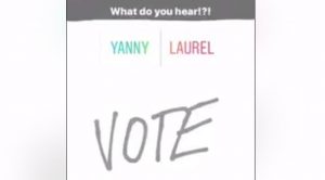 Yanny Laurel