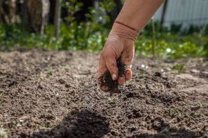 Human Composting