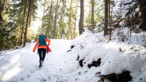 Christmas Hiking