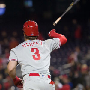 Bat Flip Mayhem